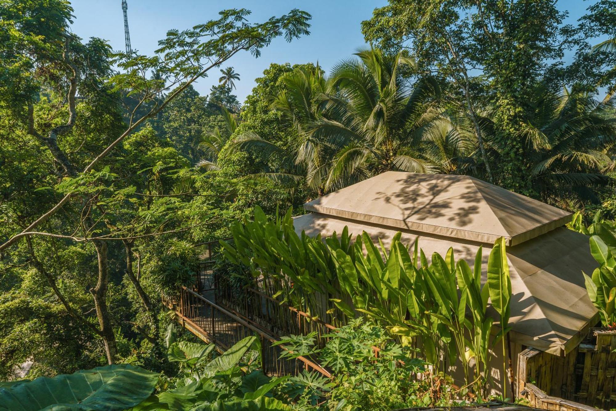 K Club Ubud Pokoj fotografie