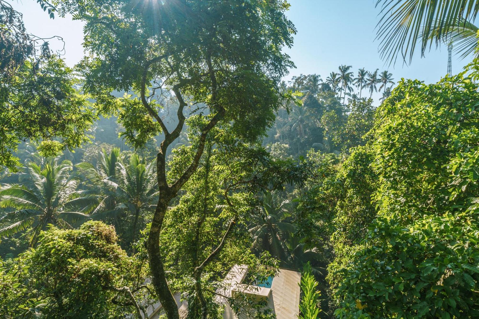 K Club Ubud Pokoj fotografie
